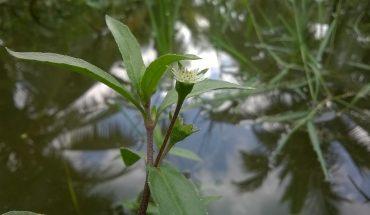 Thử Thách Số 07 – Hoạt Động Chào Mừng 07 Năm Thành Lập trang chủ mb66 Hà Nội